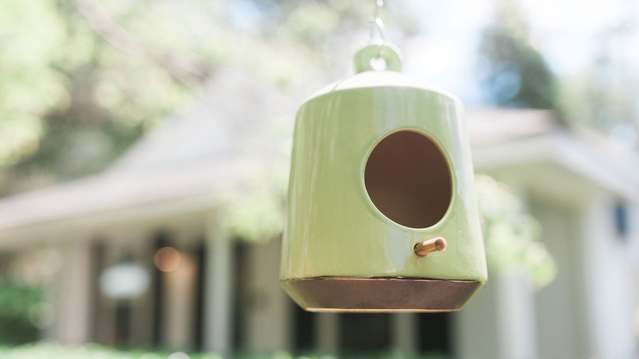 Photo of Others in Summerville Historic District