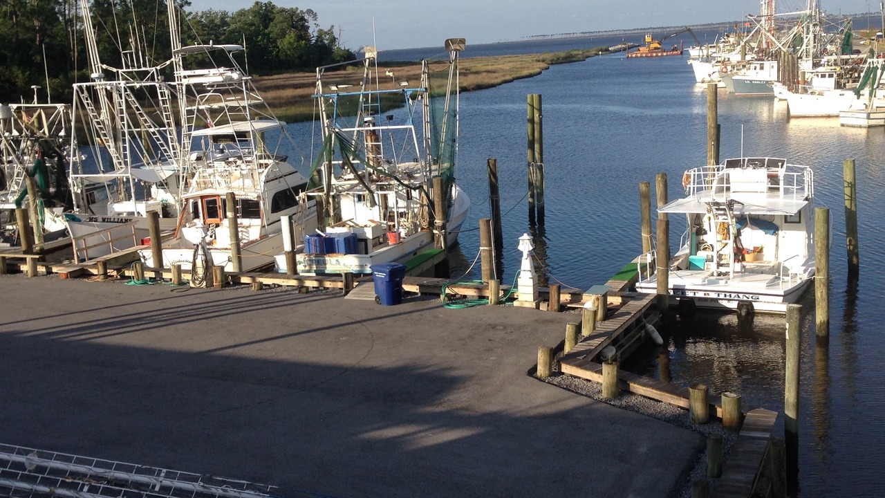 Photo of Others in Ocean Springs