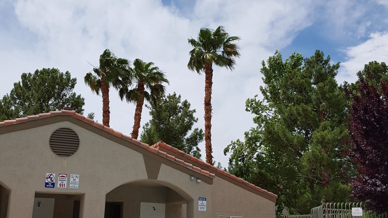 Photo of Outdoor in South Shores