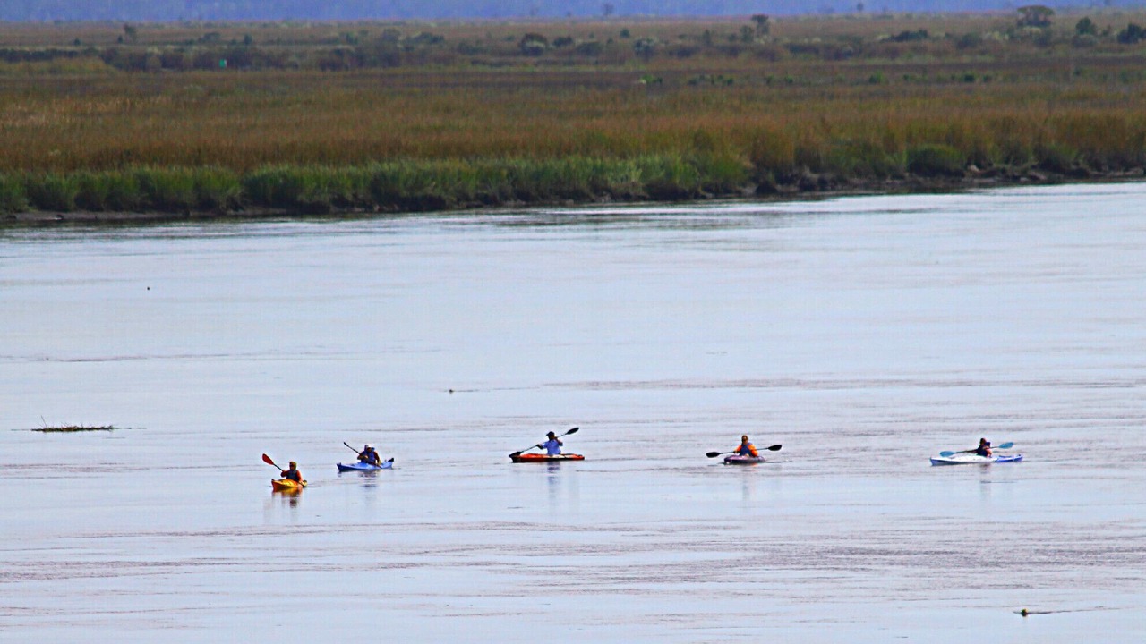 Photo of Others in Darien