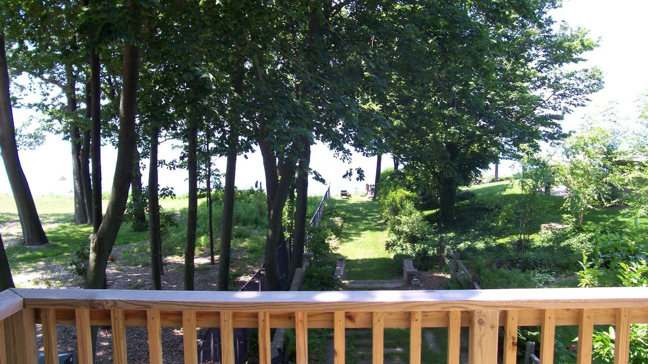 Photo of Outdoor in South Haven