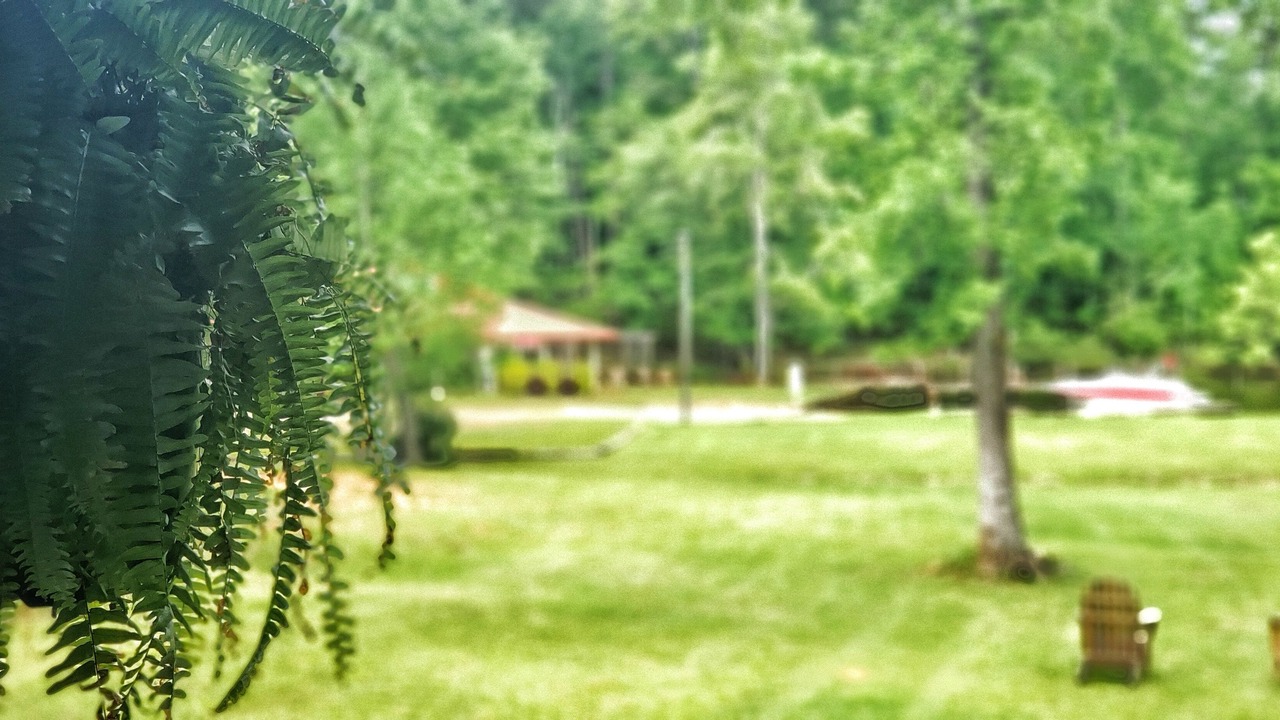 Photo of Outdoor in Eatonton