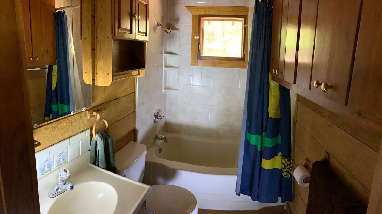 Photo of Bathroom in Saluda