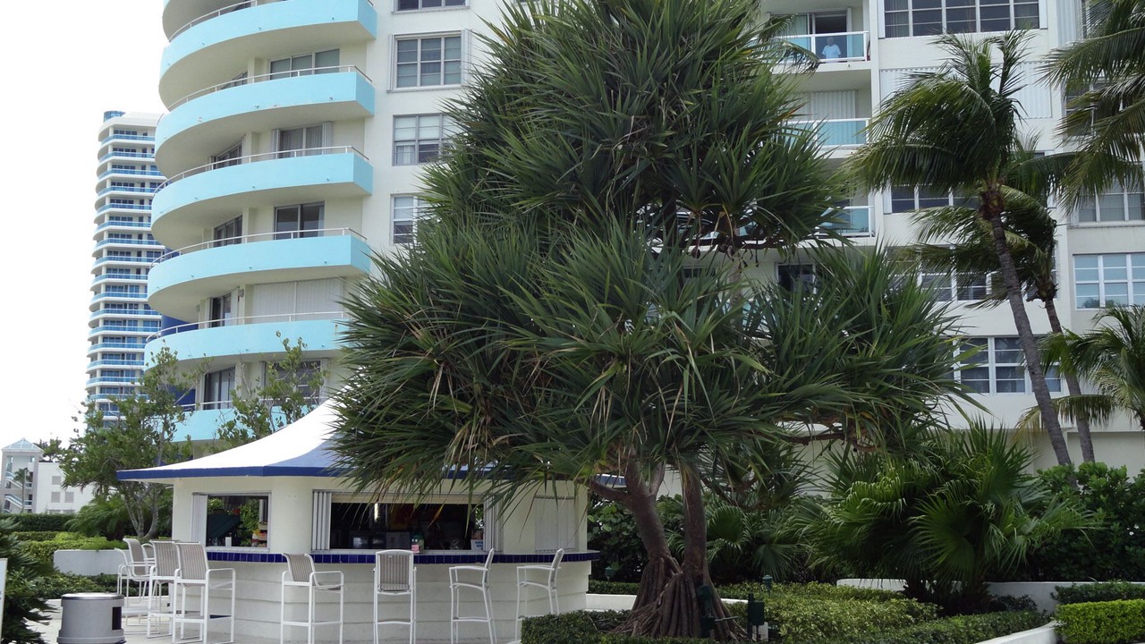 Photo of Outdoor in Mid Beach