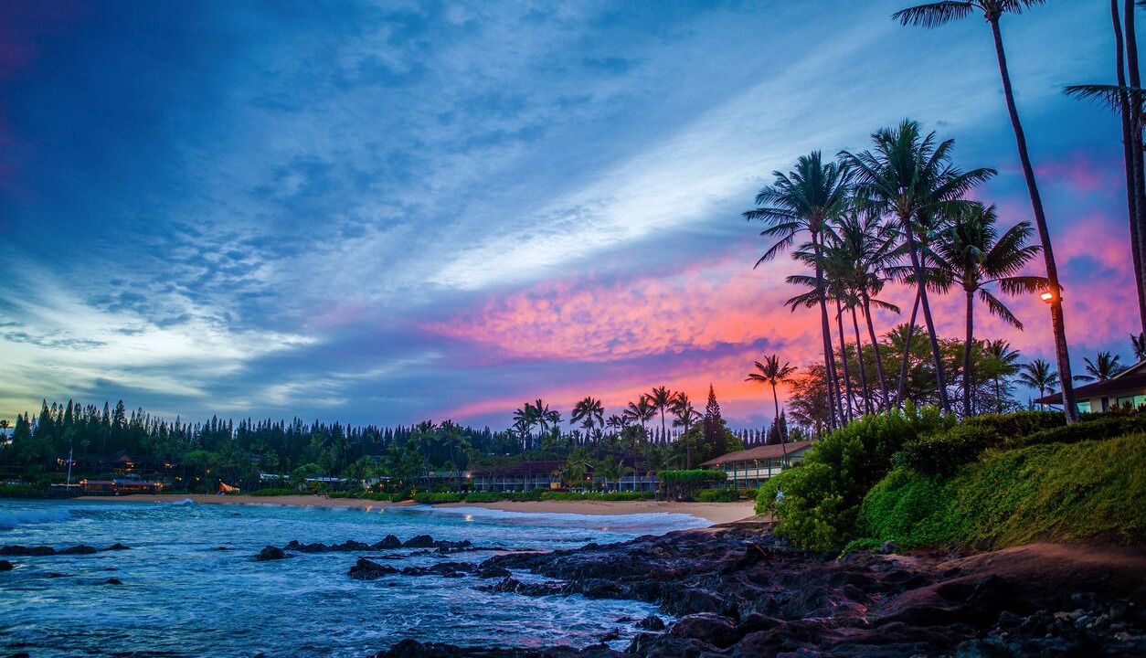 Photo of Others in Napili