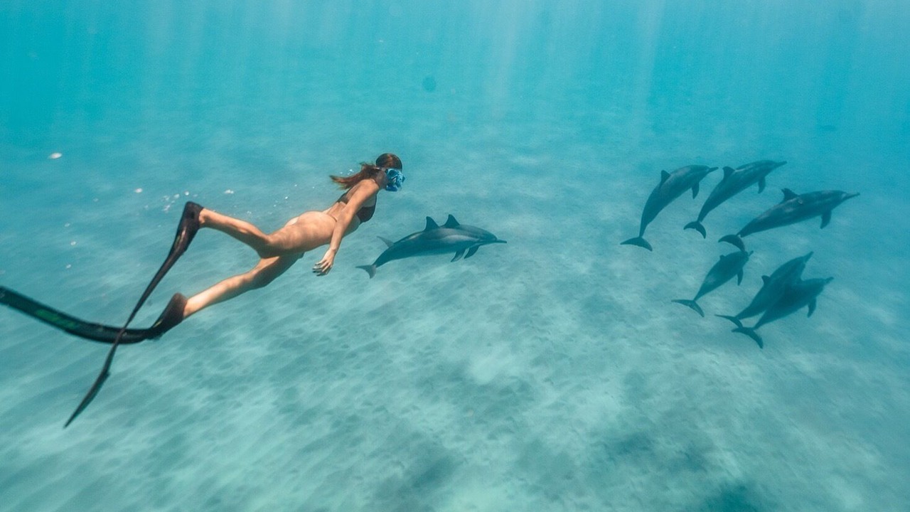 Photo of Others in Makaha