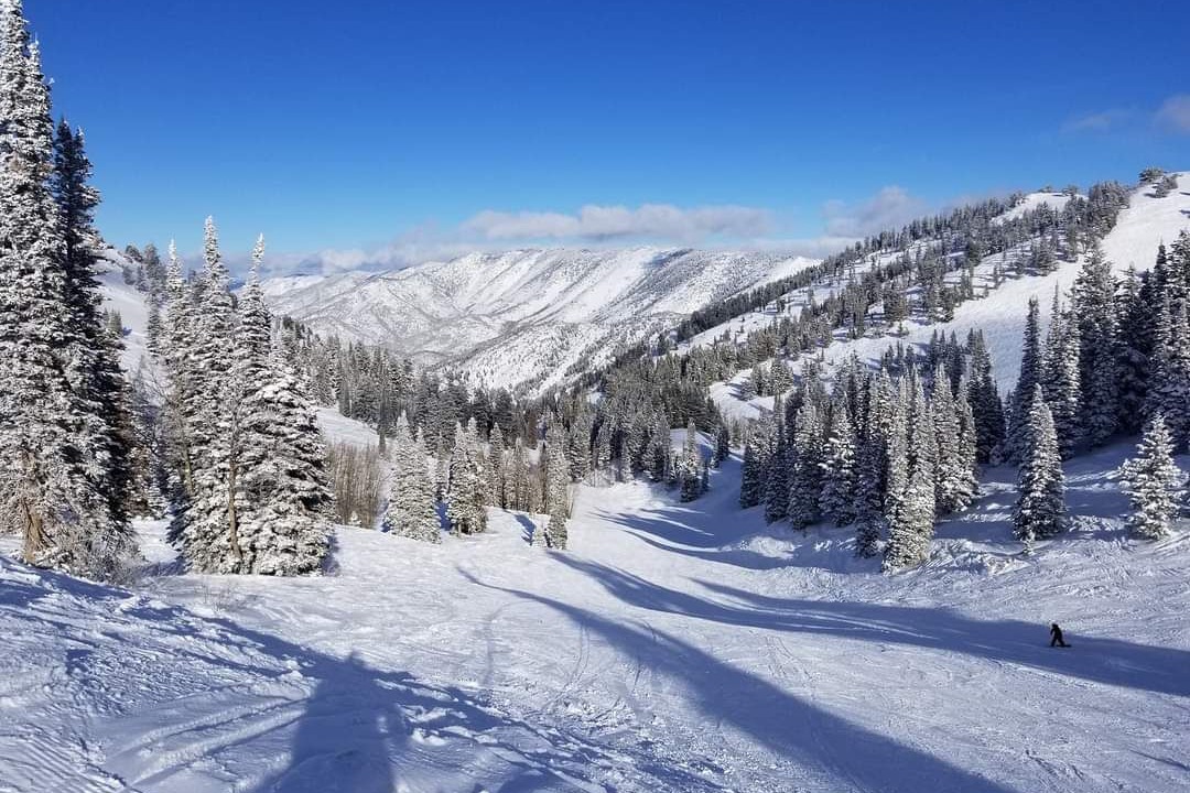 Photo of Others in Ogden