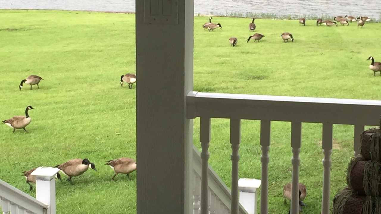 Photo of Others in Macon