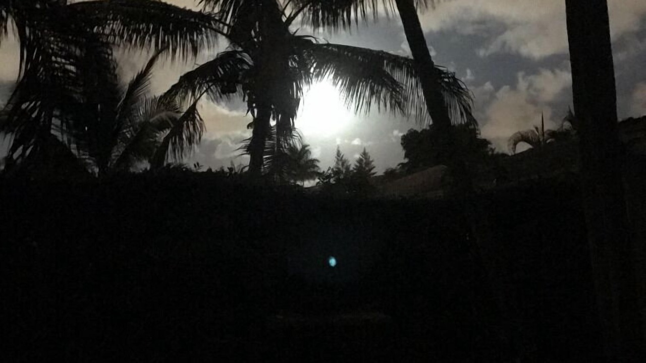 Photo of Others in Boynton Beach