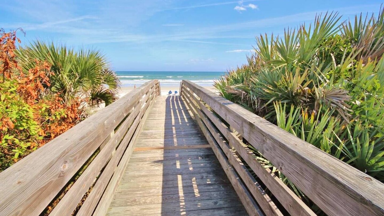Photo of Others in New Smyrna Beach