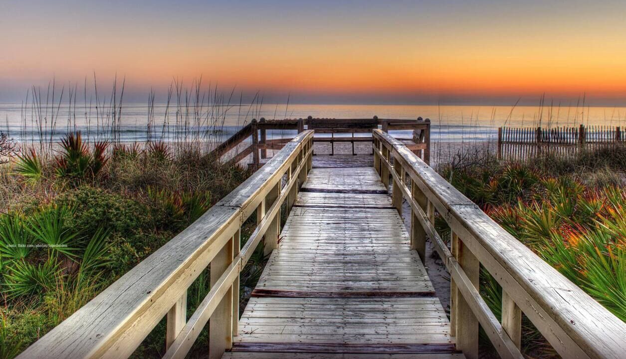 Photo of Others in New Smyrna Beach