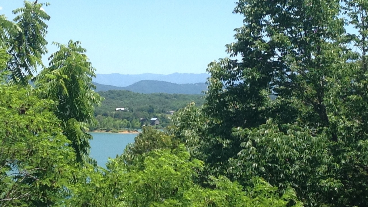 Photo of Others in Sevierville