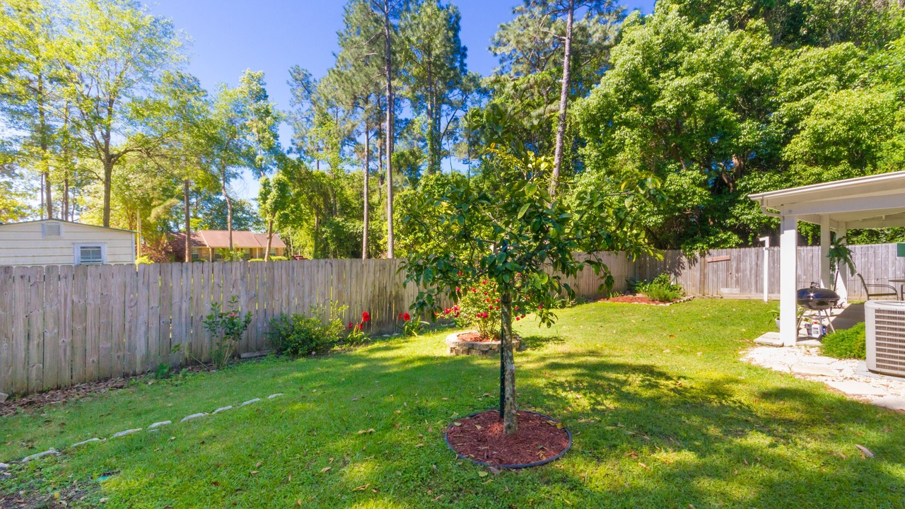 Photo of Outdoor in Gulf Shores