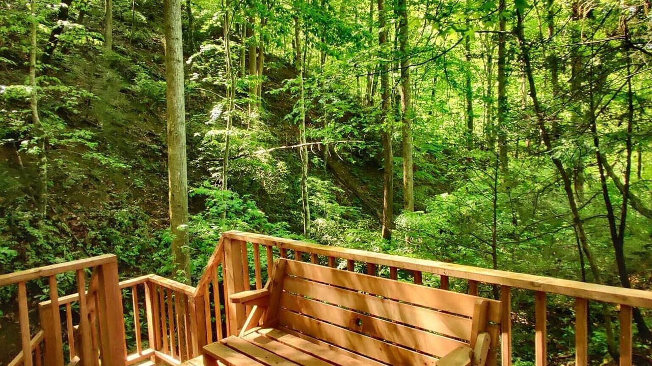 Photo of Others in Sevierville