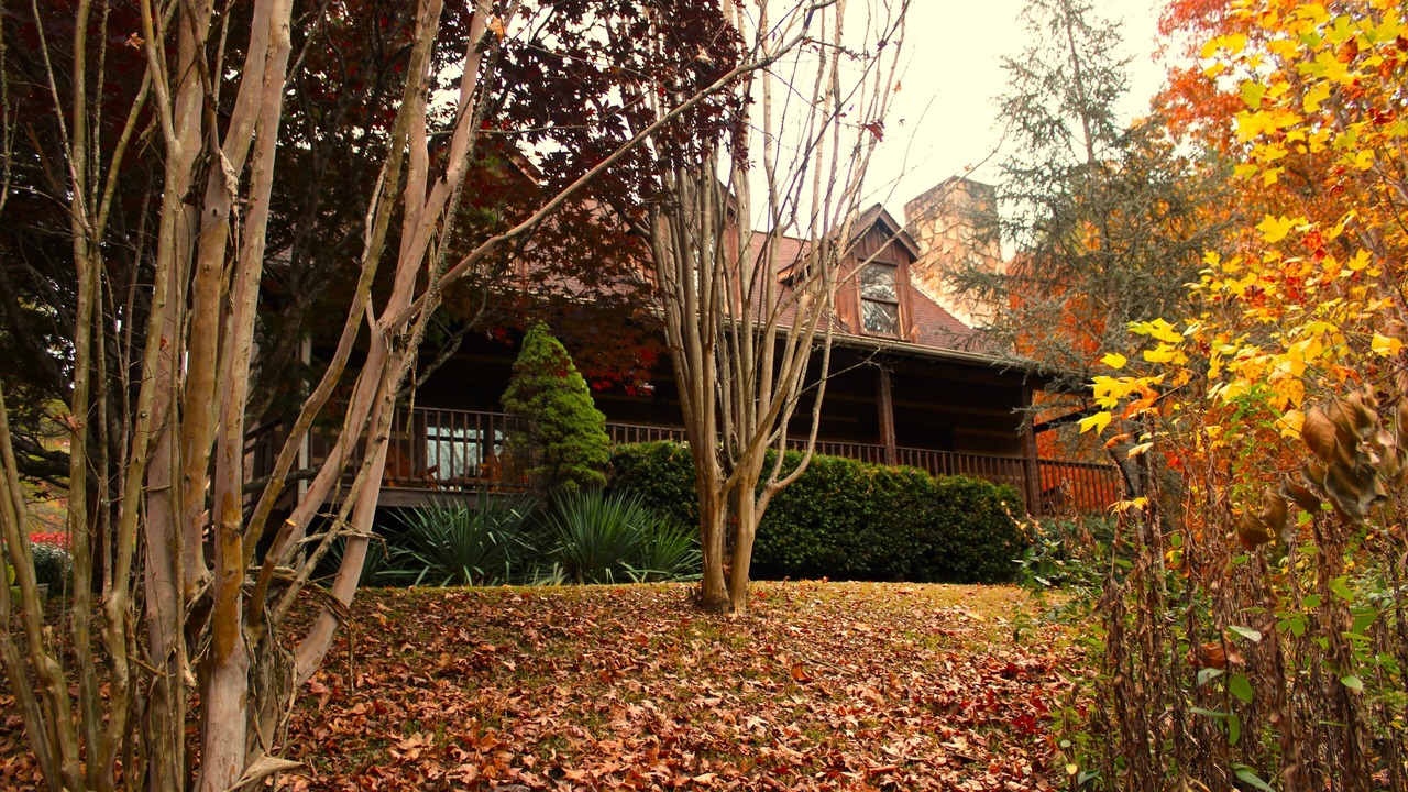 Photo of Outdoor in Sevierville