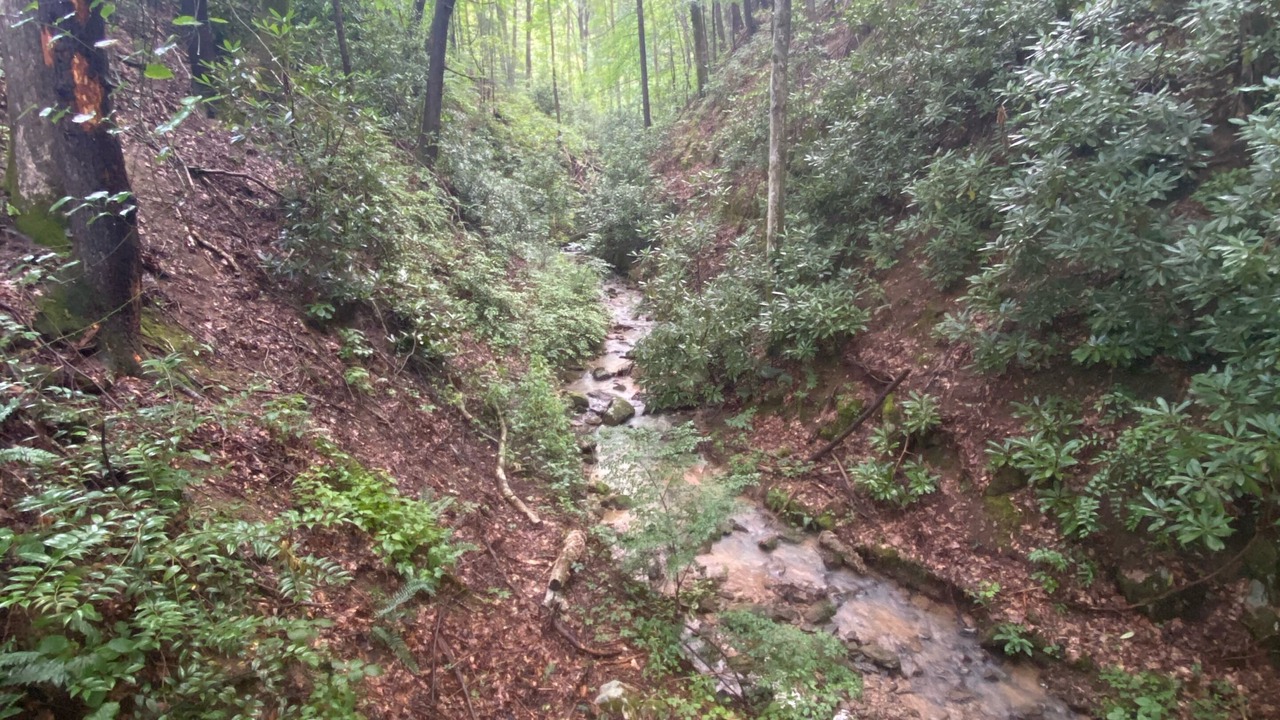Photo of Others in Sevierville