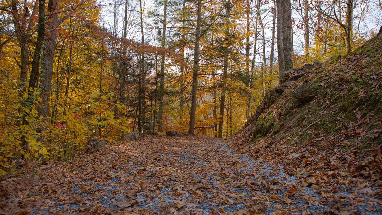 Photo of Outdoor in Sevierville