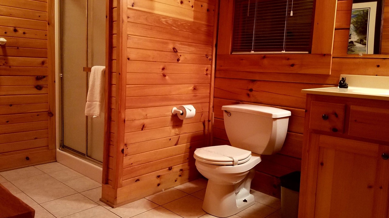 Photo of Bathroom in Maggie Valley
