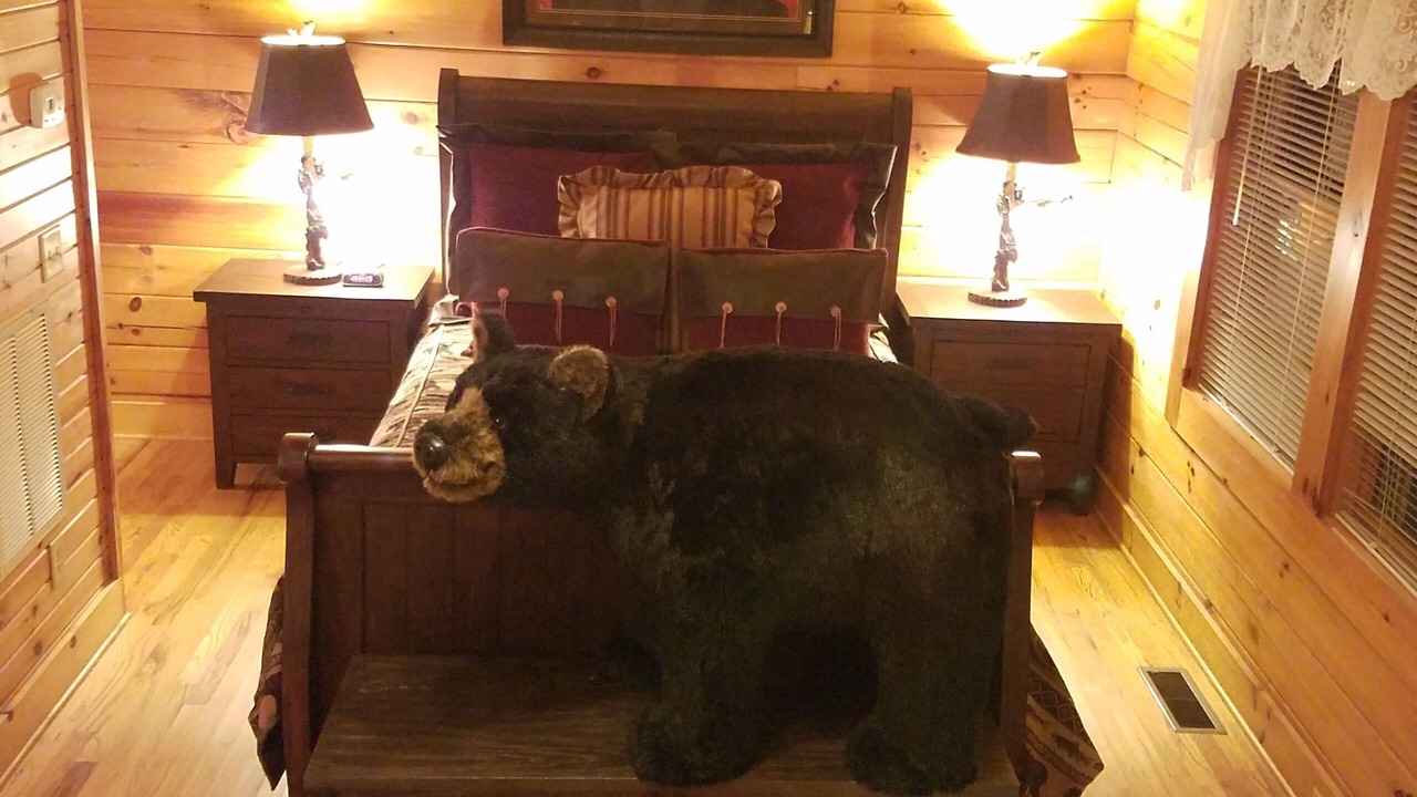 Photo of Bedroom in Maggie Valley