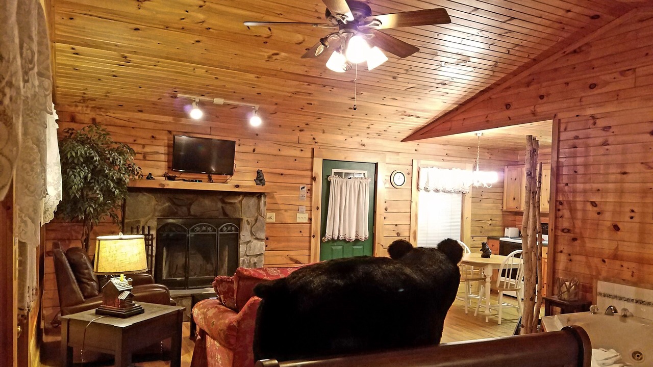 Photo of Livingroom in Maggie Valley