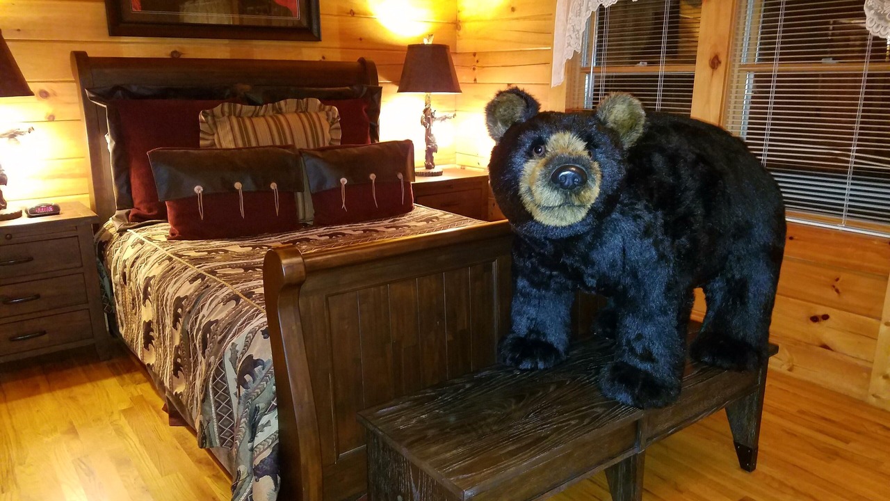 Photo of Bedroom in Maggie Valley