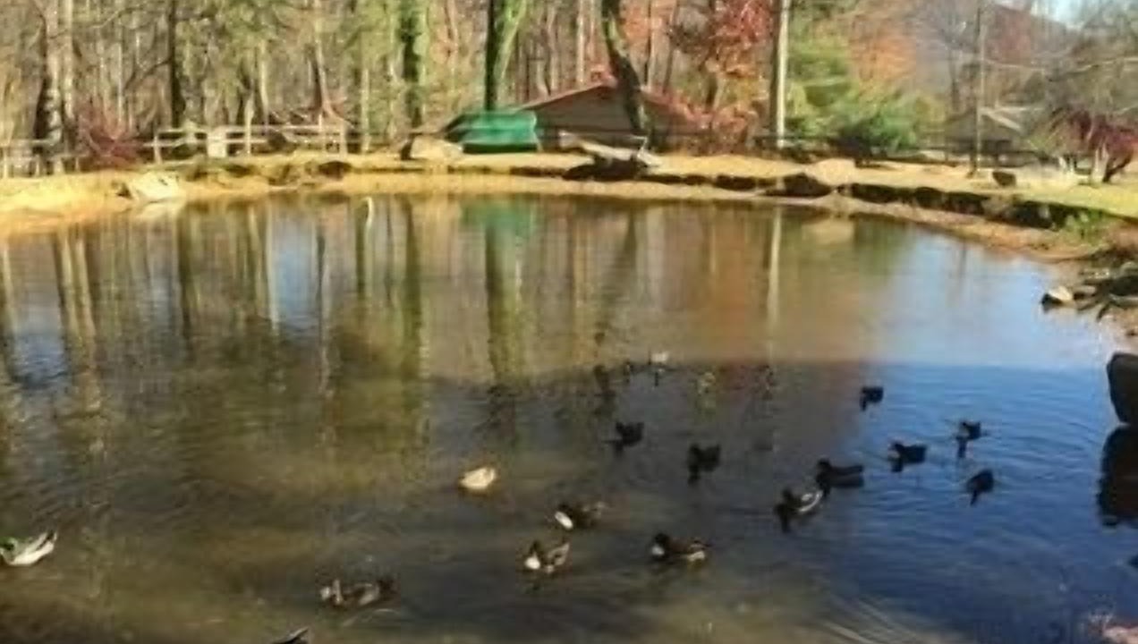 Photo of Others in Maggie Valley
