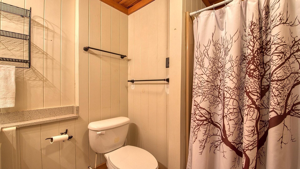 Photo of Bathroom in Waynesville