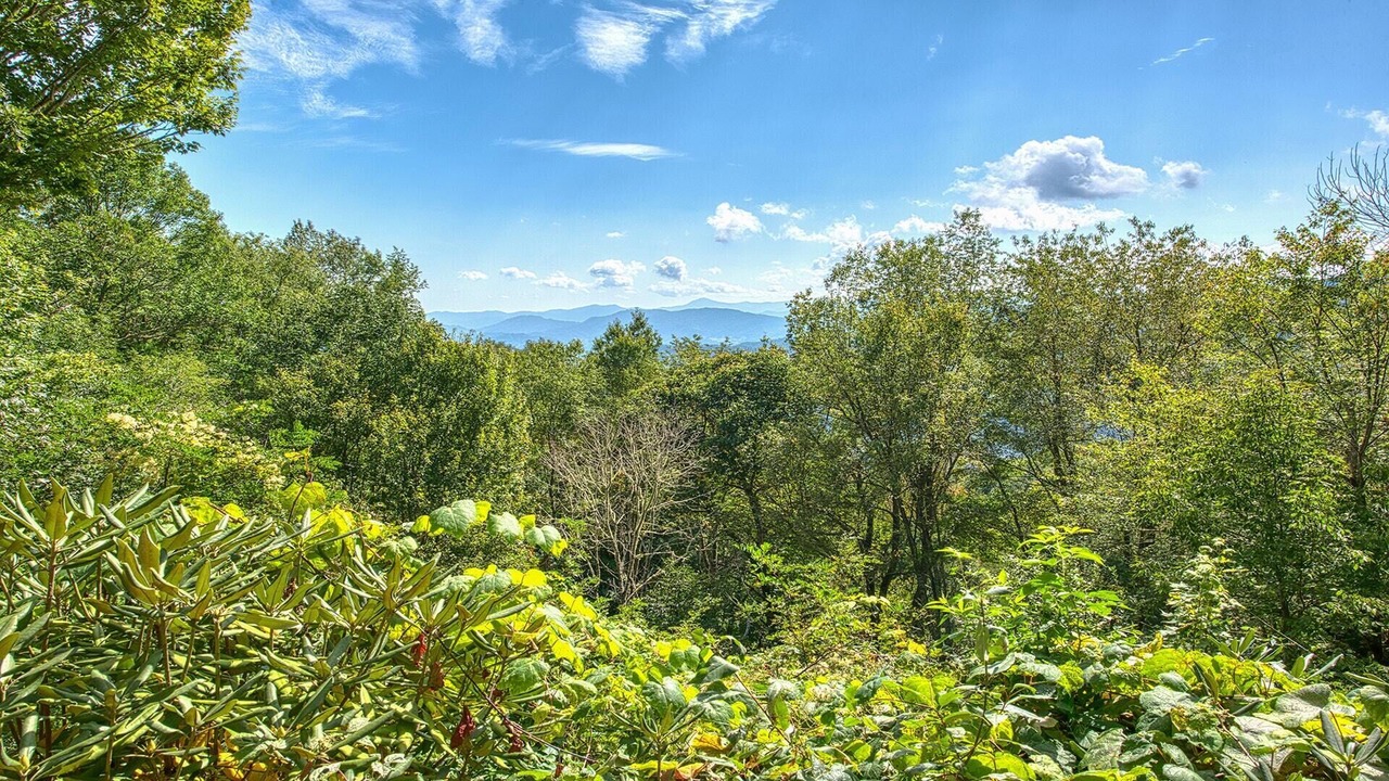 Photo of Outdoor in Waynesville
