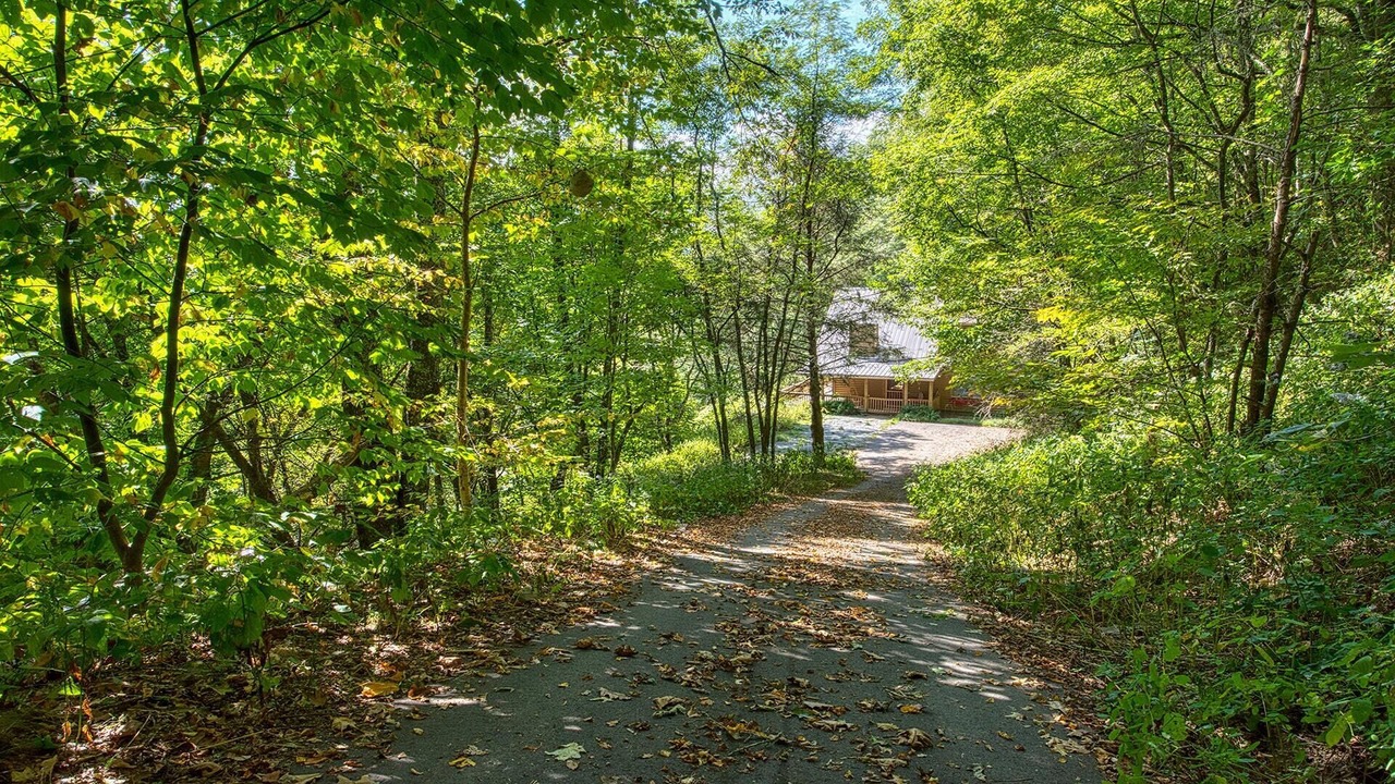 Photo of Outdoor in Waynesville