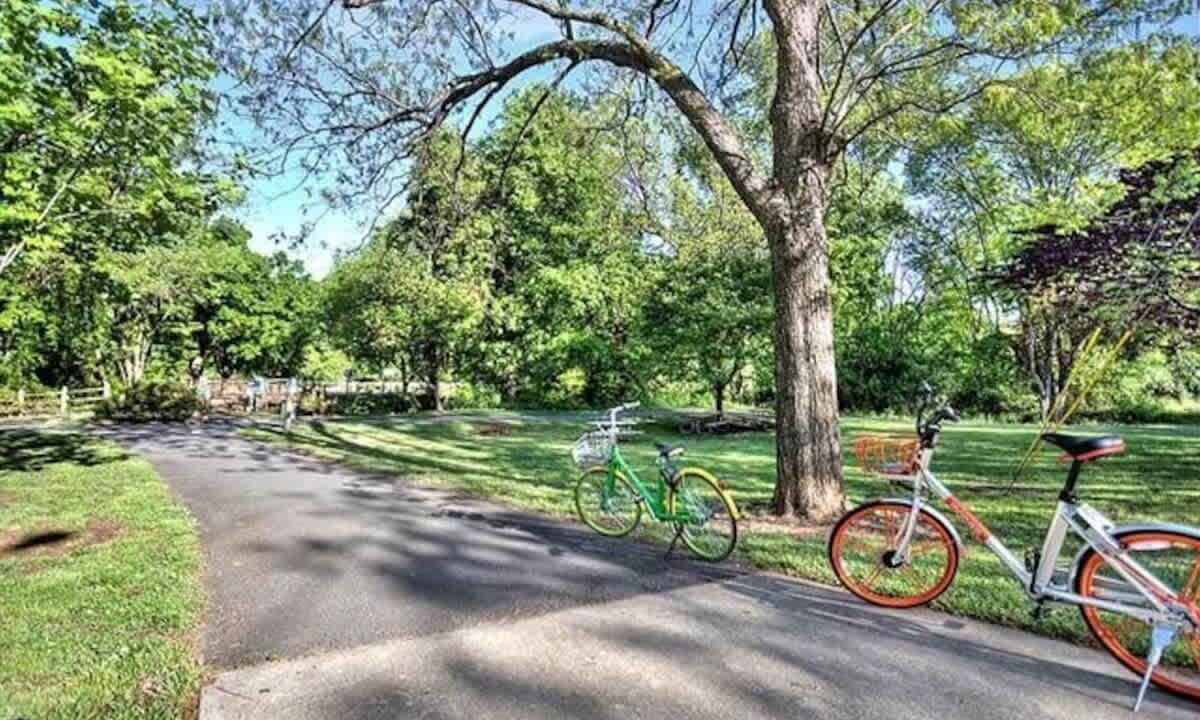 Photo of Others in Wesley Heights