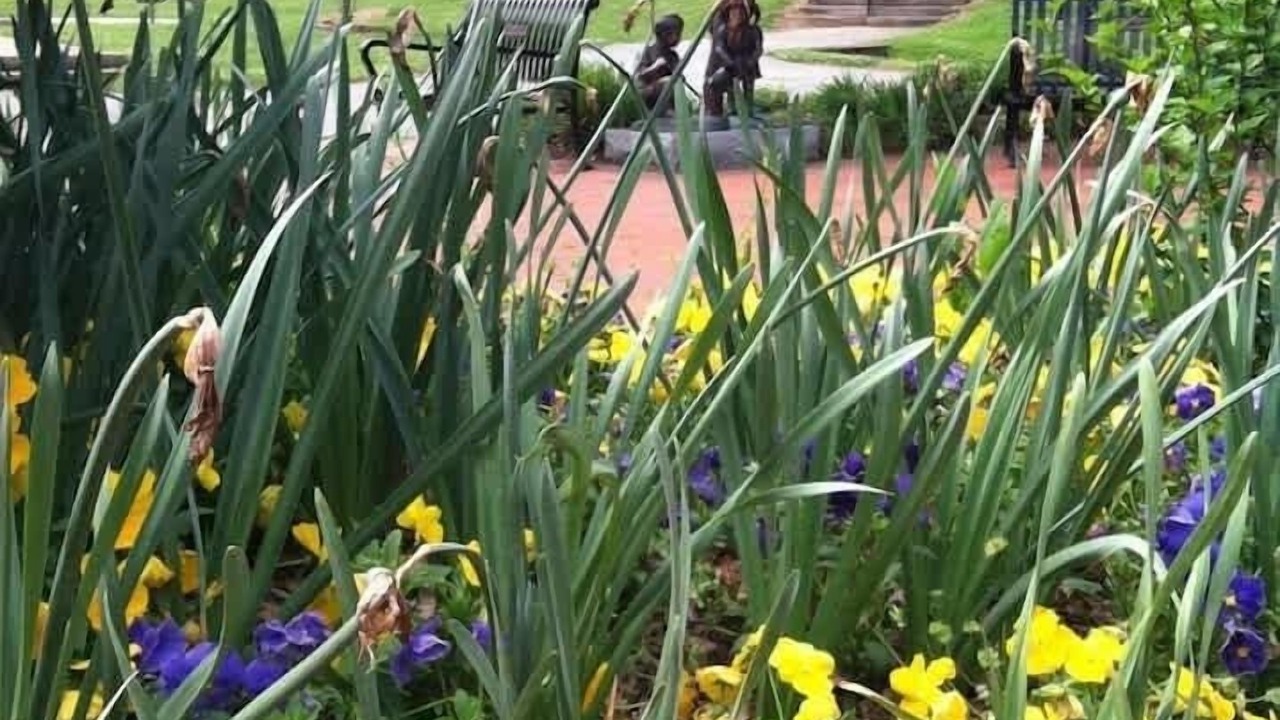 Photo of Others in Wesley Heights