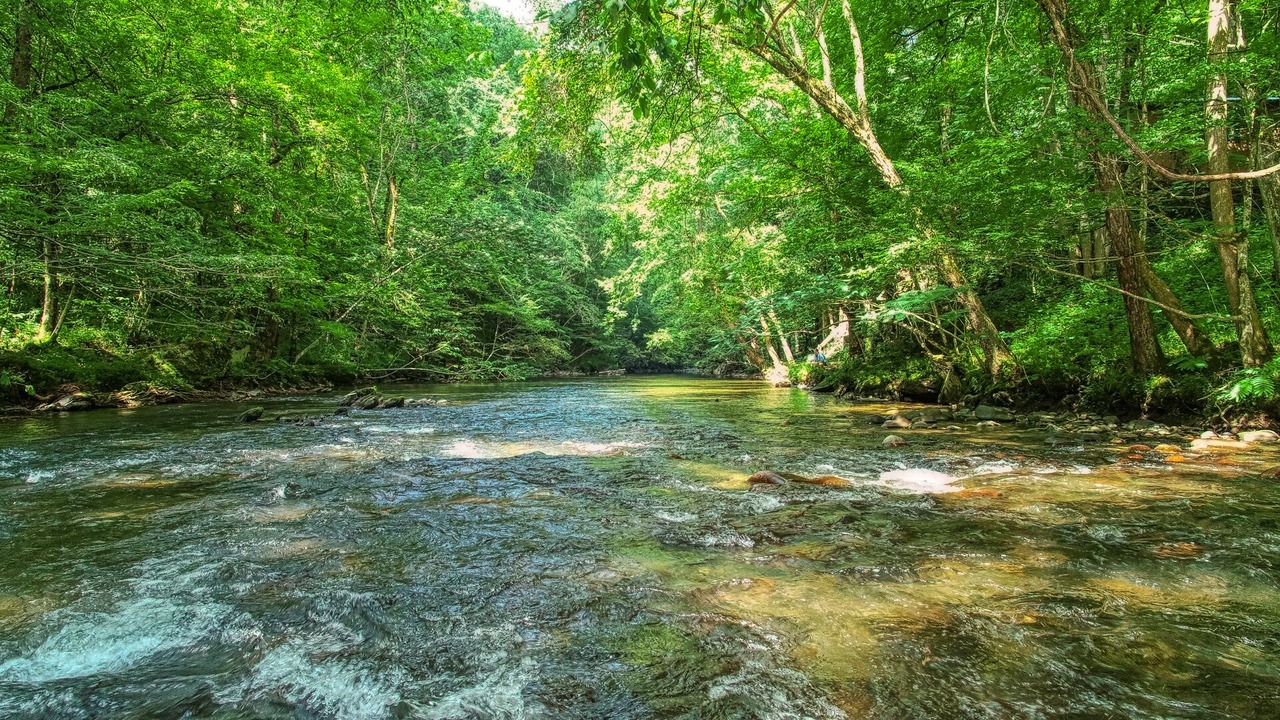 Photo of Outdoor in Sevierville