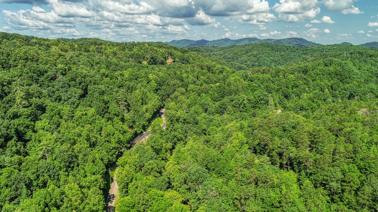 Photo of Others in Sevierville