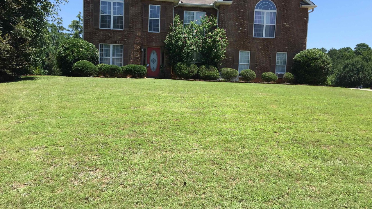Photo of Outdoor in Jonesboro