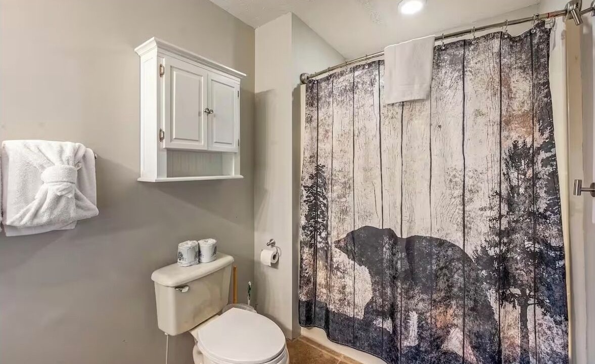 Photo of Bathroom in Sevierville