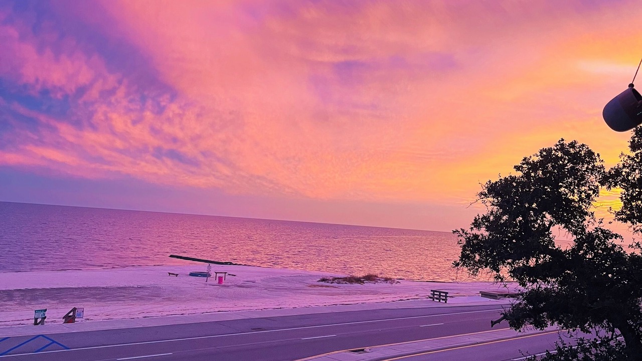 Photo of Others in Long Beach