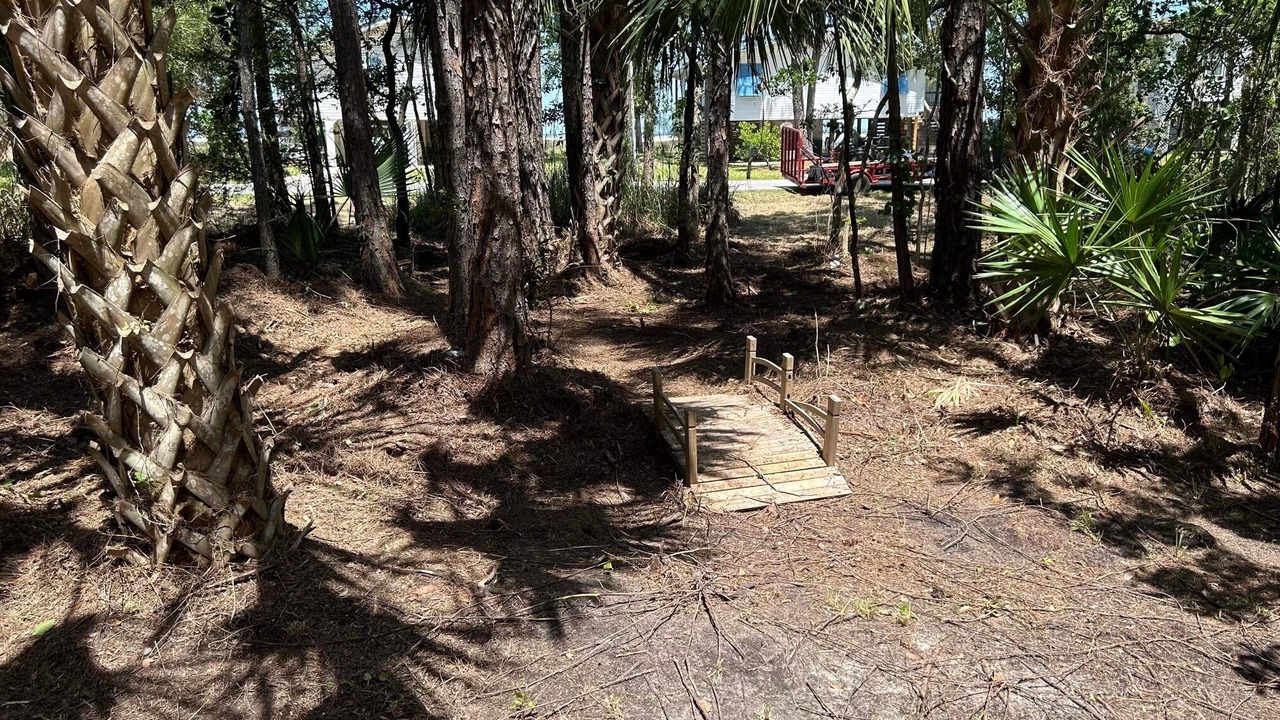 Photo of Outdoor in Dauphin Island