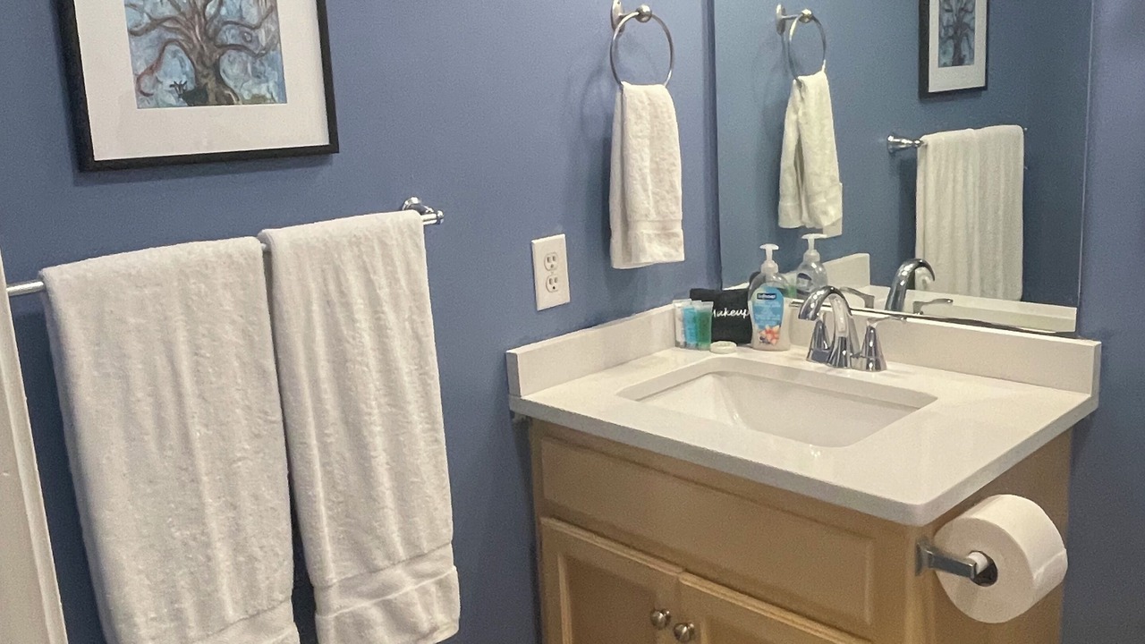 Photo of Bathroom in Dauphin Island