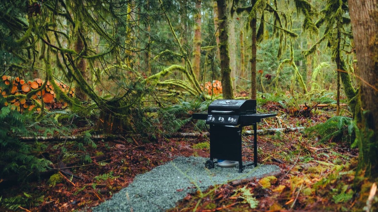 Photo of Outdoor in Monroe