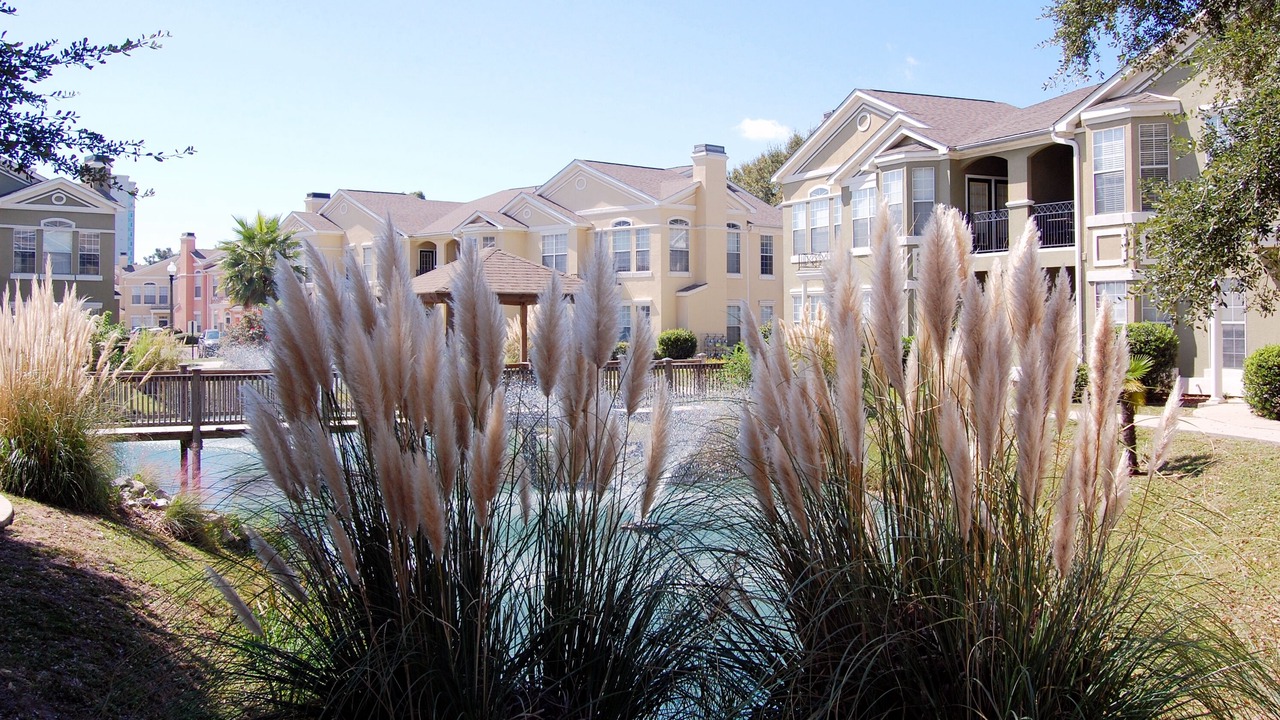 Photo of Outdoor in Gulfport