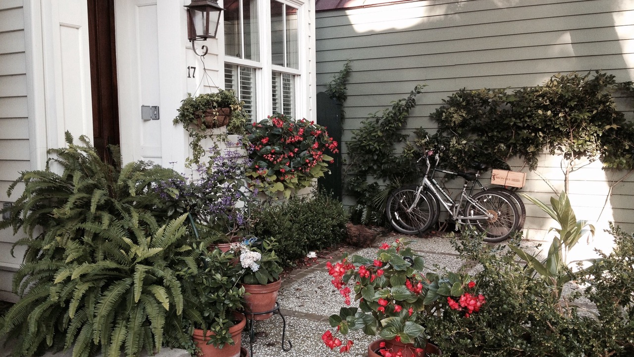 Photo of Outdoor in Harleston Village