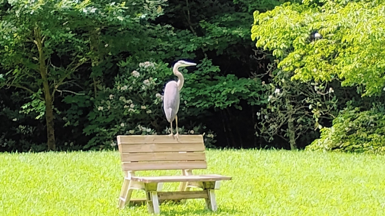 Photo of Others in Hartford