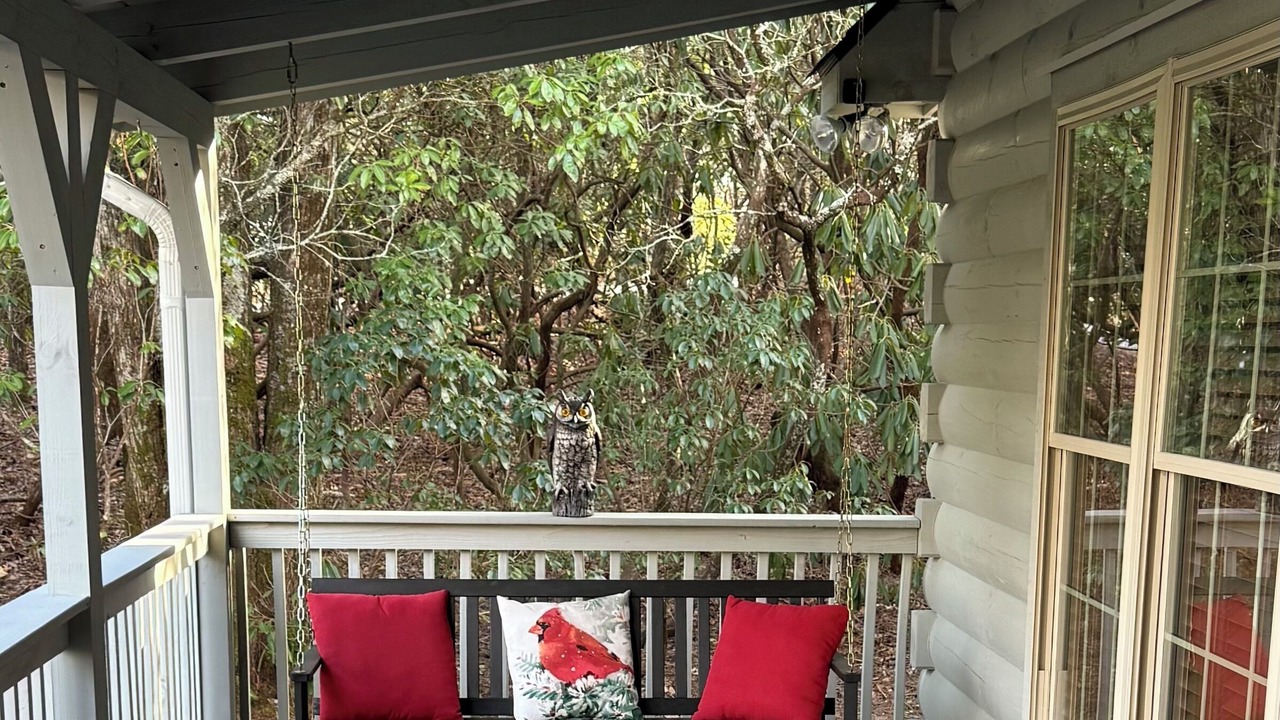 Photo of Patio Balcony in Lake Toxaway