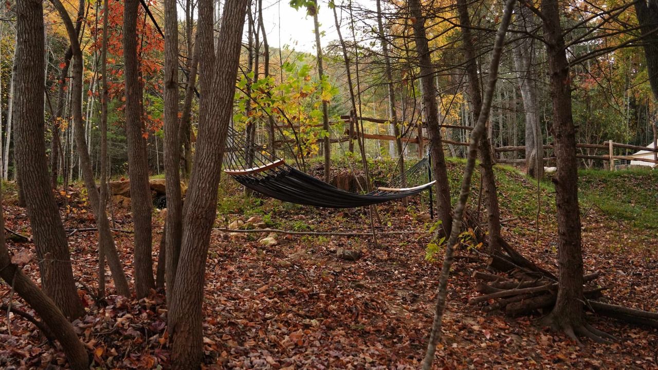 Photo of Outdoor in Waynesville