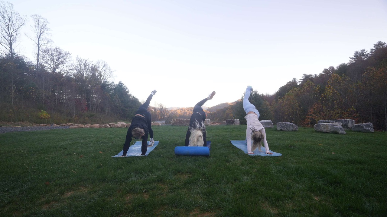 Photo of Outdoor in Waynesville