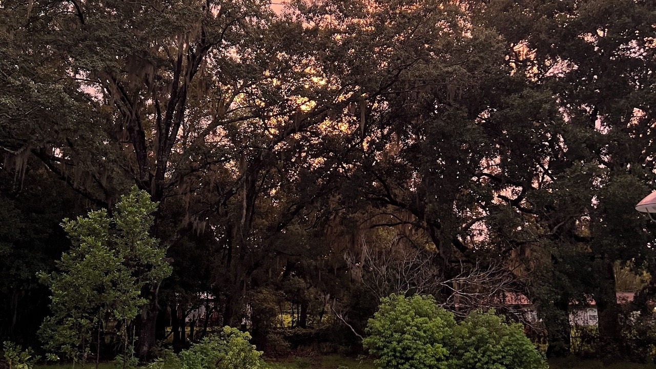 Photo of Outdoor in Yulee