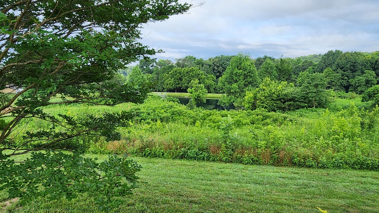 Photo of Others in Buncombe