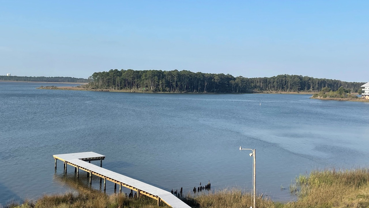 Photo of Others in Gulf Shores