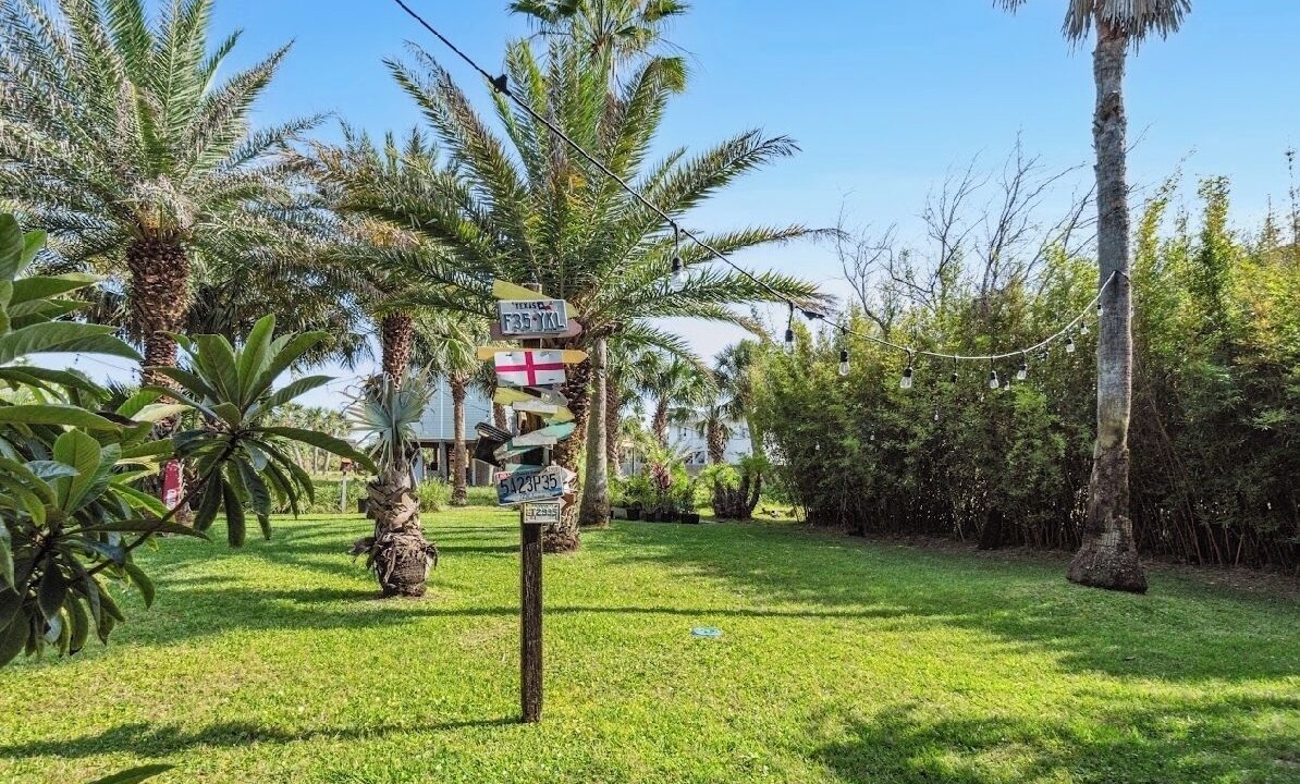 Photo of Outdoor in Toilla Segunda