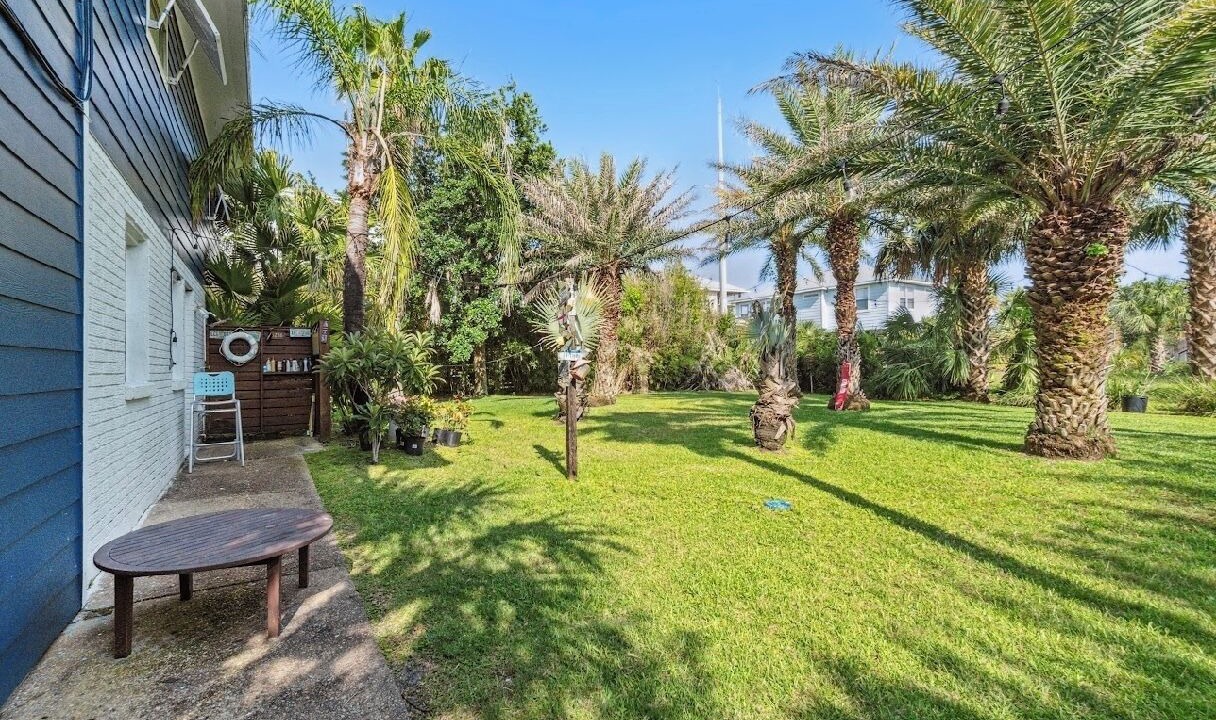 Photo of Outdoor in Toilla Segunda